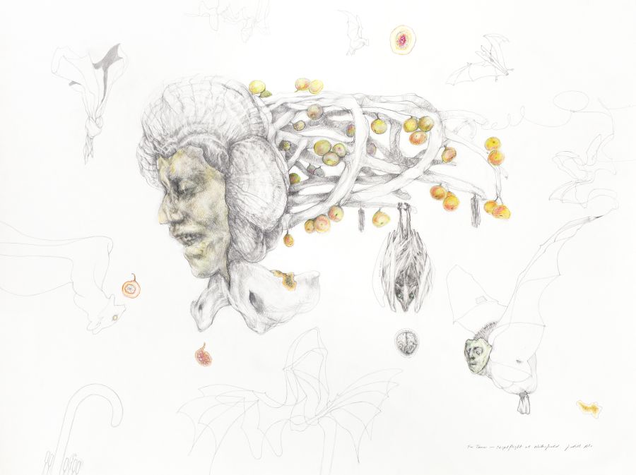 Click the image for a view of: For Tamar Nightflight at Waterfield. 2013. Pencil, colour pencil on paper.